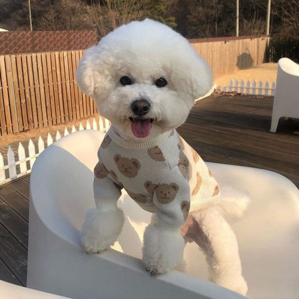 Fashion Dog Clothes Dog Sweater