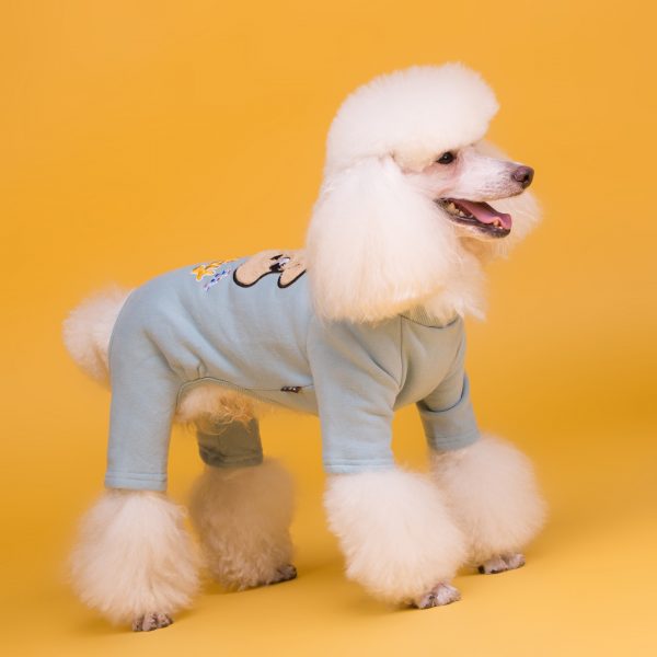 Winter Pets Dogs Clothing
