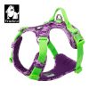 Purple dog harness