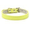 Yellow Dog Collar