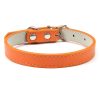 Orange Dog Collar