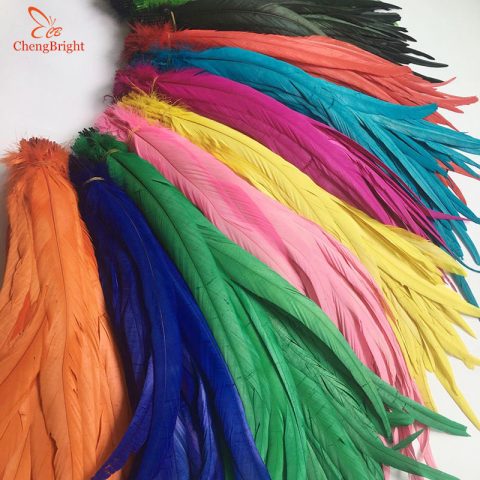 Natural Rooster Tail Feathers