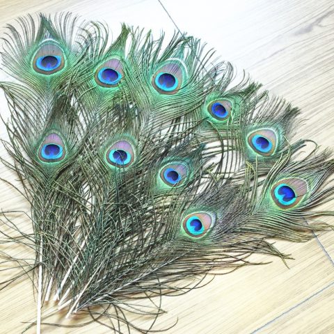 High Quality Peacock Feathers