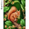 Plant Art Eurasian Red Squirrel